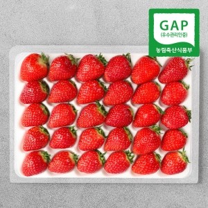 ★베스트★ GAP인증 산지직송 전북 진안 설향딸기 15과x2팩(900g내외)