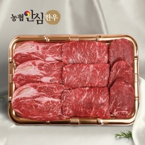 [가정의달] 농협안심한우 1등급 모듬구이세트 (등심500g+채끝300g+안심200g)/총1kg