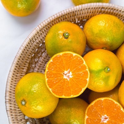 ★타임특가★제주 극조생 감귤 로얄과[2S-M]4.5kg