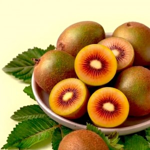 제스프리 레드루비키위 중과 (15입)