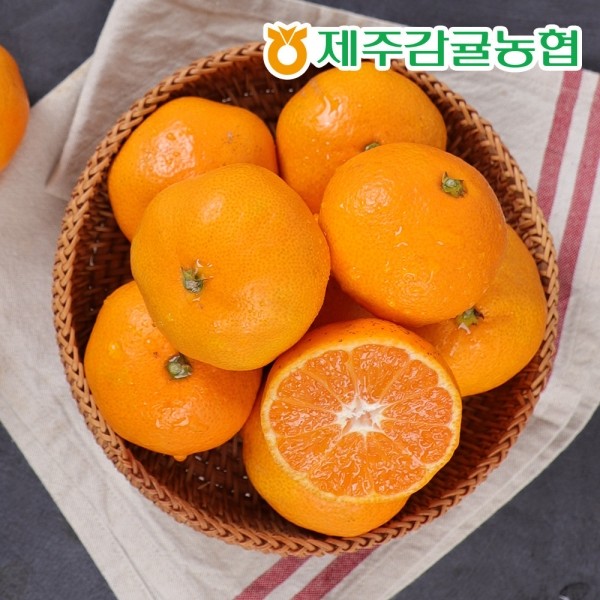 ★타임특가★제주농협 직송 제주 하우스감귤 2.5kg (소과/44~55과)