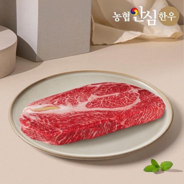 ★타임특가★농협안심한우 1++등급 한우 등심 500g