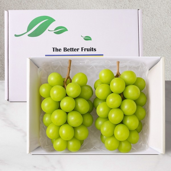 CJ프레시마켓,[늦여름과일]샤인머스캣 기프트세트 1.4kg 내외 (2입)