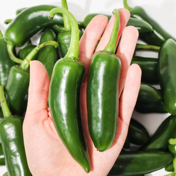 CJ프레시마켓,[엠픽] 매콤하고 아삭한 국산재배 할라피뇨고추 1kg