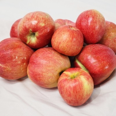 ★타임특가★[엠픽] 25년 첫 수확! 달콤아삭 햇 홍로사과 2.5kg(15과내)
