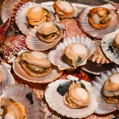 ★타임특가★ [엠픽] 산지직송 달콤 쫄깃한 생물 홍가리비 1kg/2kg