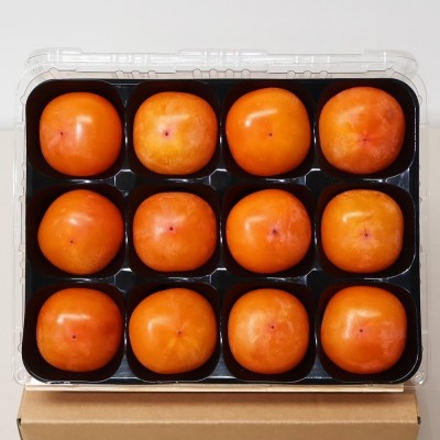 [엠픽] 30년 감 농사 장인의 프리미엄 GAP인증 청도 매남 반시 1.6kg(중/대/특)