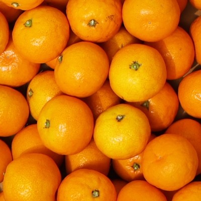 ★타임특가★ [엠픽] 새콤달콤! 국내산 제주 햇 노지감귤 2kg,4.5kg(대,중,로얄)