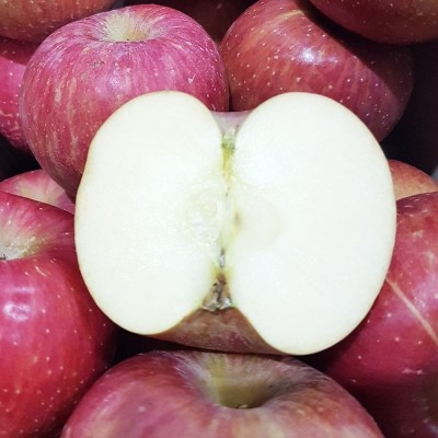 CJ프레시마켓,[엠픽] 유명산지 부사 사과 2.5kg 골라담기(보조개/정품사과/세척사과)