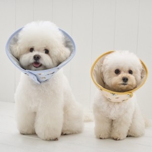 디즈니 버디 소프트 넥카라 강아지용품 스카이블루/옐로우