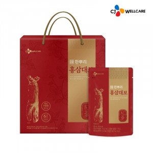 홍삼대보